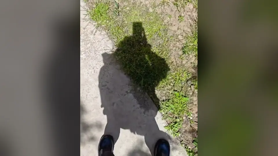 妹子尾巴插着就敢上街，边走边晃那截毛茸茸的尾巴，路人根本看不出藏着什么。15秒第一视角，低调记录一次日常露出任务。