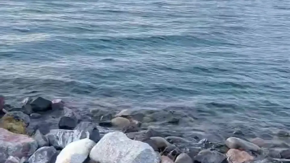 知道在录反而更放得开。怕吵到人声音压得很低。一开始没抱期待。