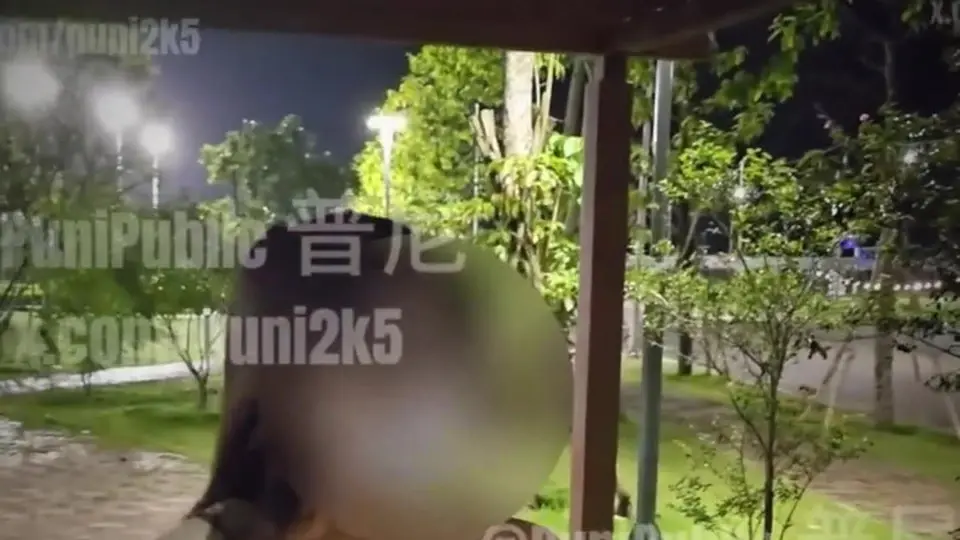 背景干净没杂物，拍完还回放看了一遍，从头到尾没喊停，拍得挺讲究。