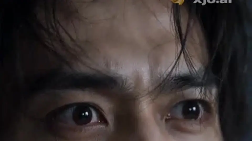金牌经纪人