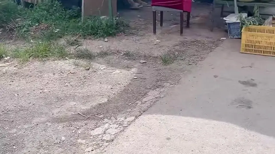 人妻贫乳黑蝴蝶 - 不能总露出给大爷看，这次媳妇想突破自己，要找个年轻的，看他什么反应，结果路上的西瓜摊还真遇到了，可能是总给大爷看的原因，媳妇穿着透明紧身裙...