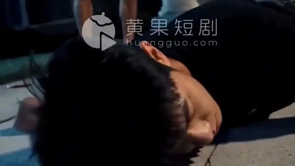 《超能旅行团》第4集，后面的集数也在陆续上。这一集不太平。