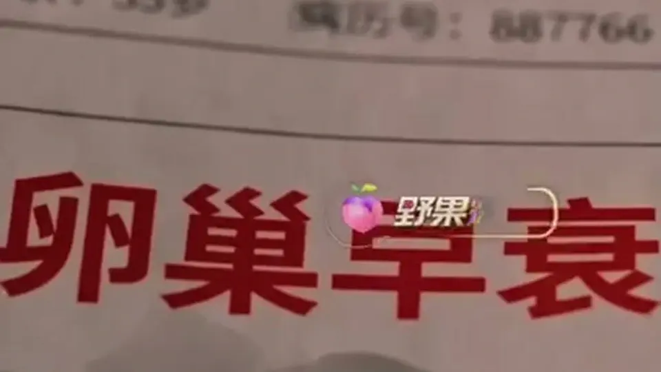 《妻子无法怀孕，只好借用两个小姨子的子宫》，4分40秒，长度刚刚好。