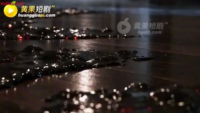 第6集《驱鬼者》，1分28秒。关键的信息落在这集。